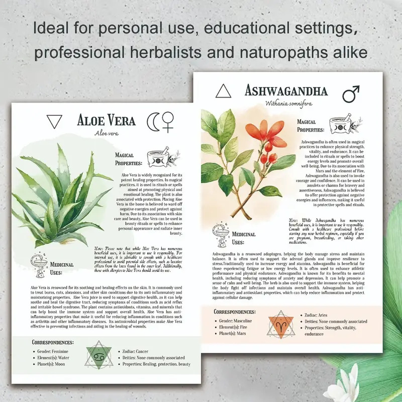 Natural Remedies Handbook with - Health & Wellness Rehab 리뷰 및 가격
