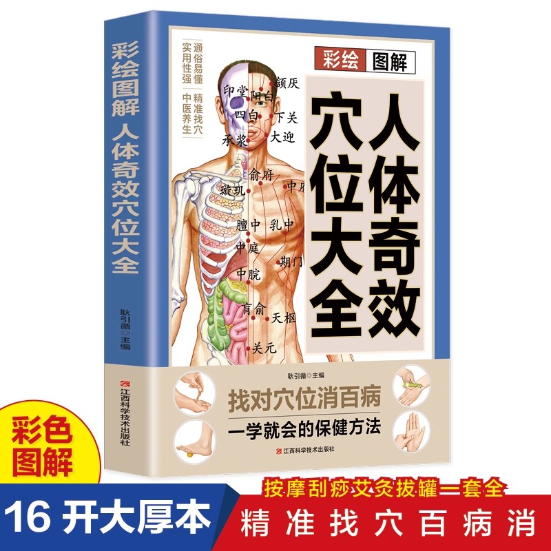 Complete Guide to Acupoint Mas - Health & Wellness Rehab 리뷰 및 가격