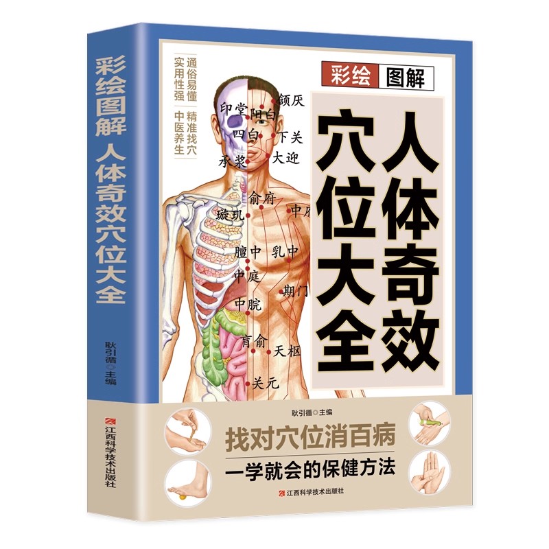 Complete Guide to Acupoint Mas - Health & Wellness Rehab 리뷰 및 가격