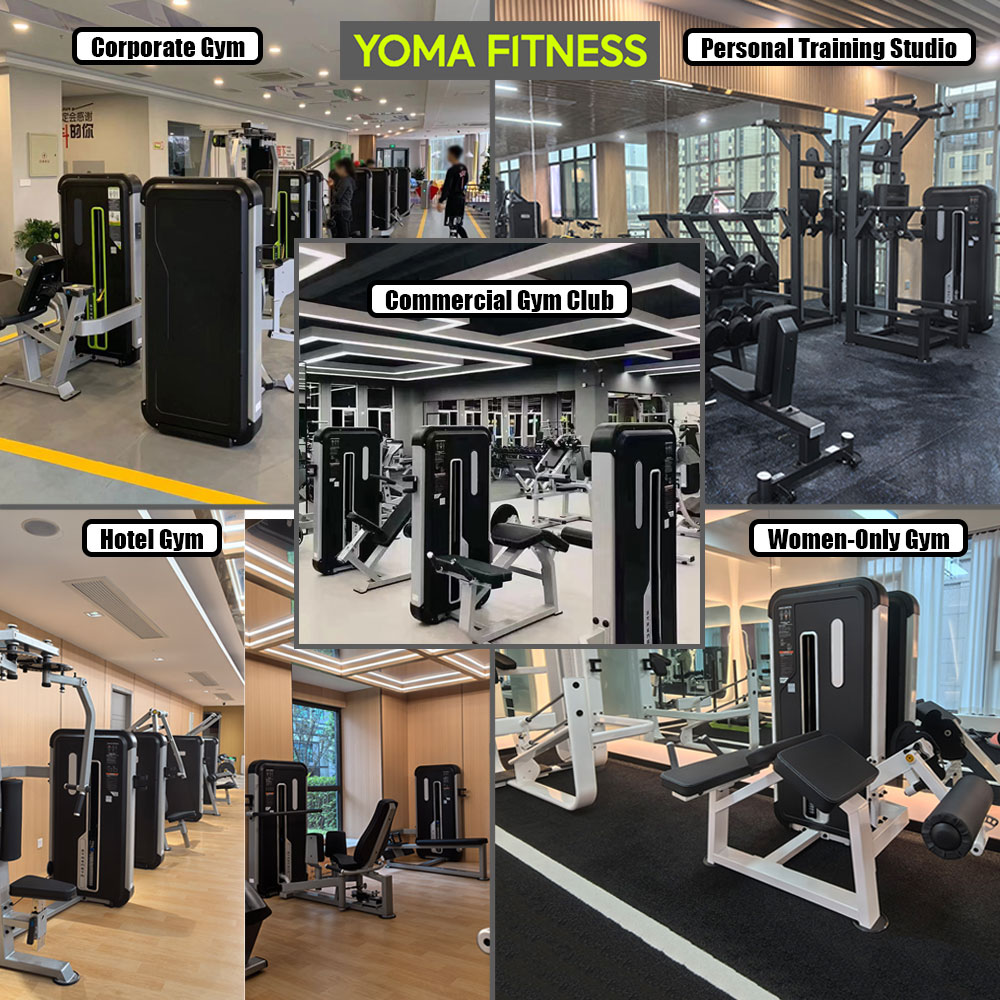 Guangzhou Strength Training Eq - Health Wellness Training 리뷰 및 가격