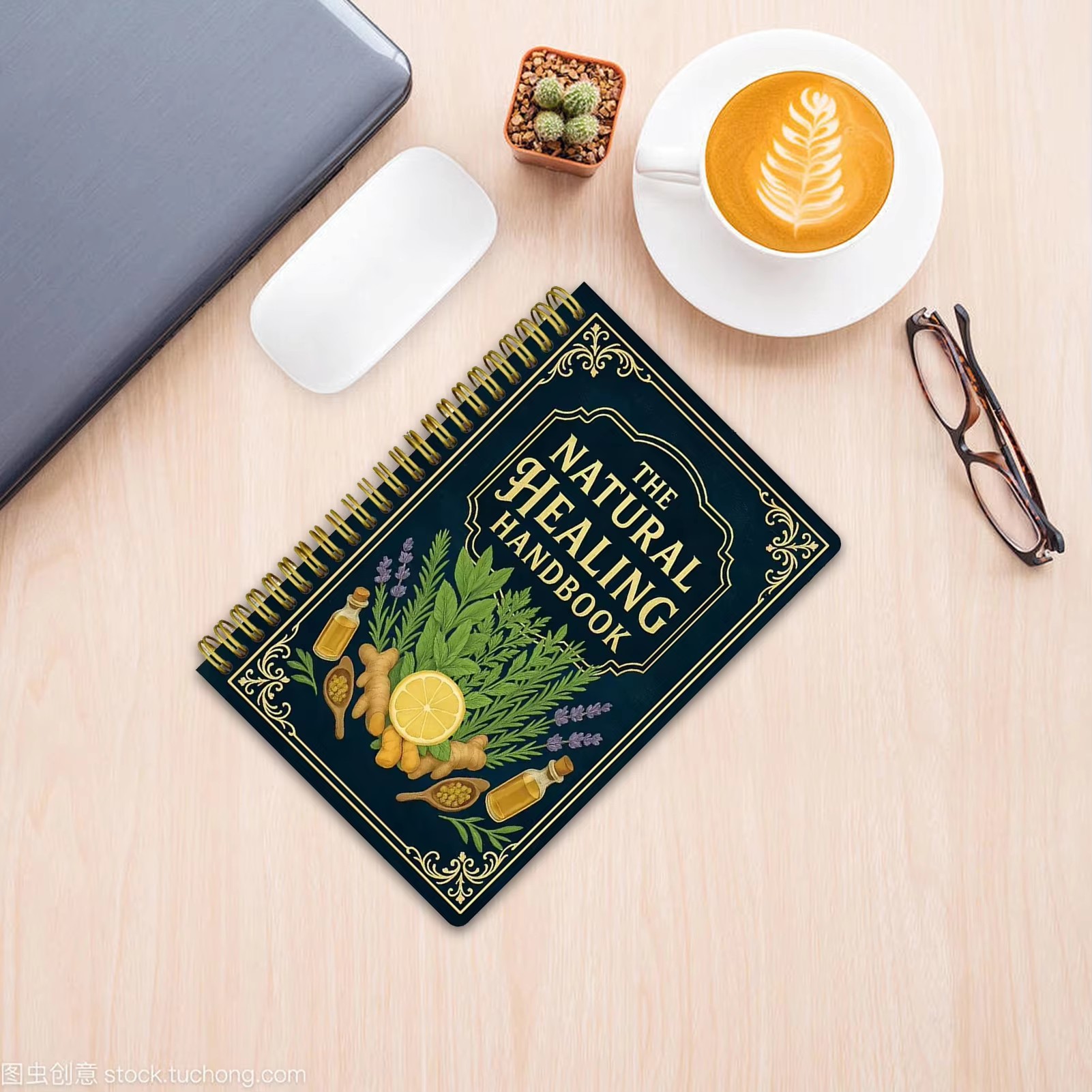 Healing Handbook By Luna Filby - Health & Wellness Rehab 리뷰 및 가격