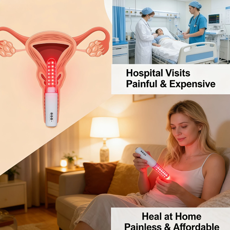 HLKGO Feminine Health Care Dev - Health Wellness Training 리뷰 및 가격