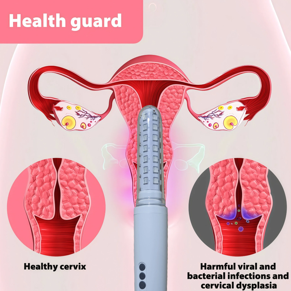 HLKGO Feminine Health Care Dev - Health Wellness Training 리뷰 및 가격