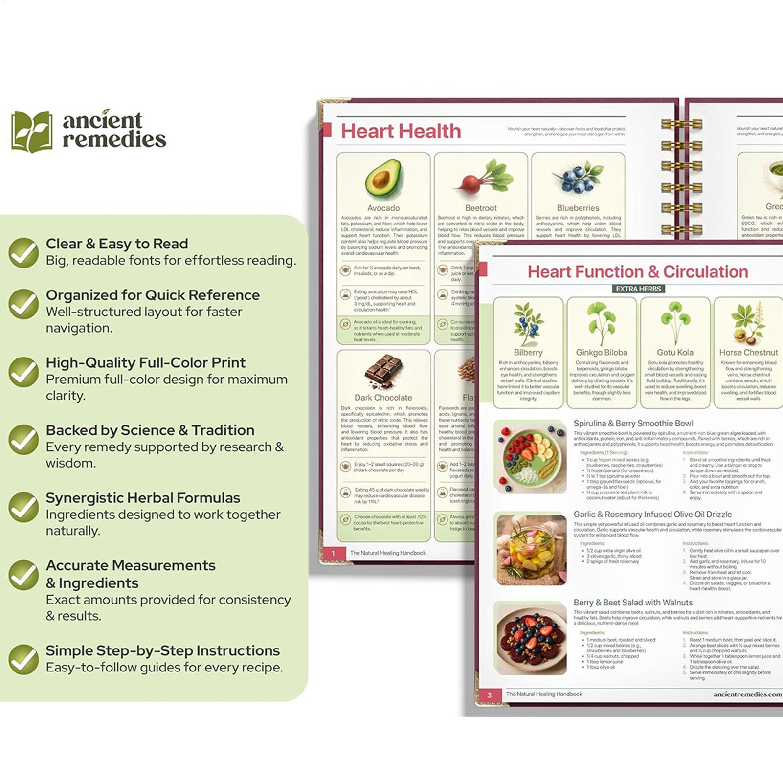 250x176x10mm Human Health Guid - Health & Wellness Rehab 리뷰 및 가격