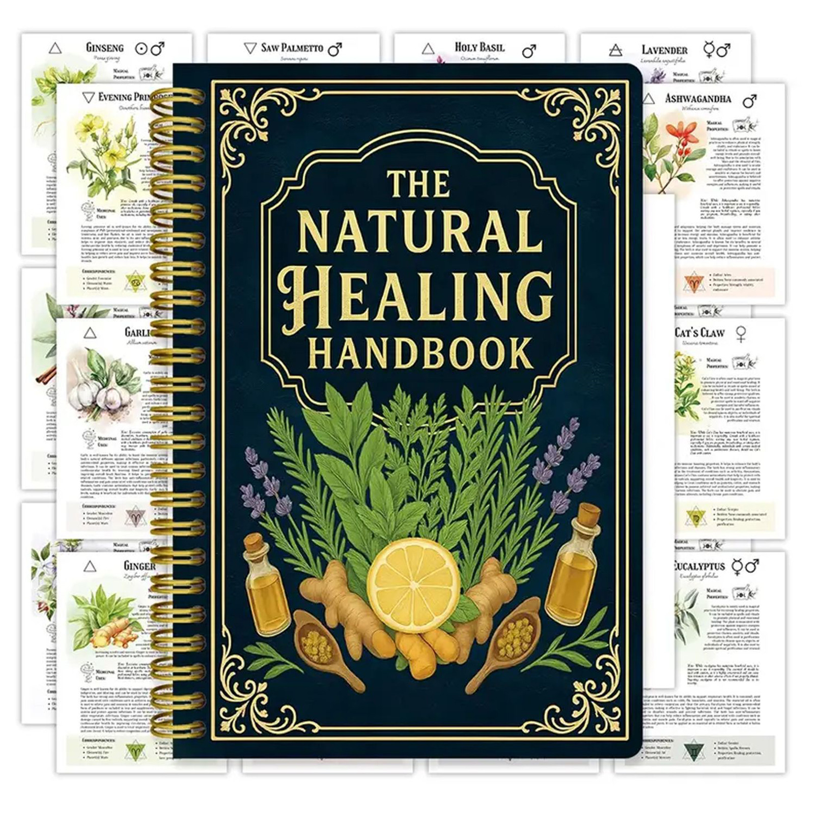 Natural Therapy Handbook, an E - Health & Wellness Rehab 리뷰 및 가격