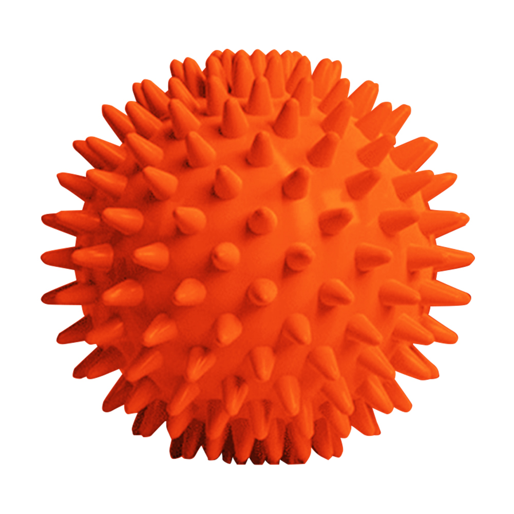 Spiky Massage Ball Compact Mus - Reflexology Foot Roller 리뷰 및 가격